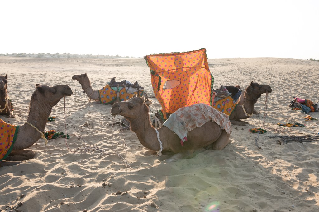 Habits to Bring Home (The Invisible&nbsp;Souvenirs)